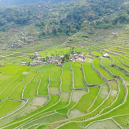 Banaue Transient House Bed And Breakfast ภายนอก รูปภาพ